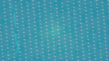 Yaratıcı video düzenleme film tasarımı için benzersiz hareket grafikleri biçimi giriş hareketi video pro