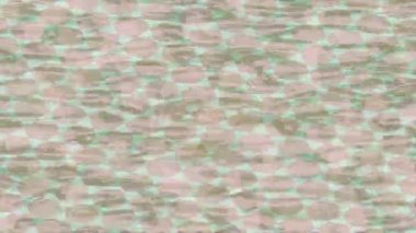 Benzersiz video giriş tasarımı projeleri için detaylı yüzey kalıbı film animasyon stili grafik girişi