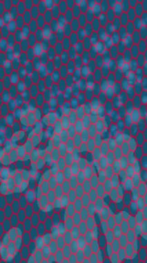 Benzersiz hareket grafikleri tasarım sanatına sahip yaratıcı film üretimi için özet bir arkaplan