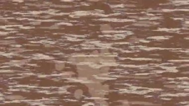 Benzersiz video giriş tasarımı projeleri için detaylı yüzey kalıbı film animasyon stili grafik girişi