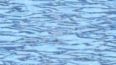 Dijital doku yüzey tasarım biçimi ile modern video animasyonu için gelişmiş hareket grafikleri