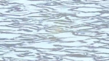 Benzersiz dijital animasyon tarzı grafikleri olan yaratıcı ortam tasarımı için yenilikçi hareket dokusu