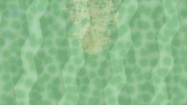 Yaratıcı video düzenleme film arkaplan tasarımı için minimalist organik hareket grafikleri