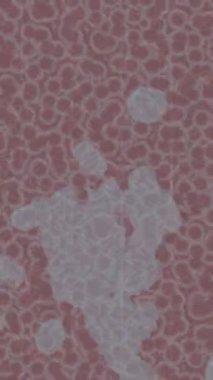 Lüks hareket tasarımı üst düzey video projeleri ve dijital sanat için zarif, pürüzsüz bir dokusu var.