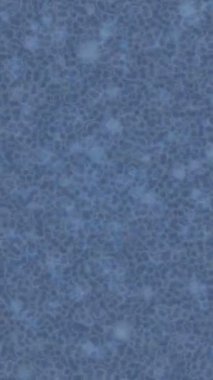 Yaratıcı video düzenleme film arkaplan tasarımı için minimalist organik hareket grafikleri