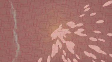 Benzersiz hareket grafikleri tasarım sanatına sahip yaratıcı film üretimi için özet bir arkaplan