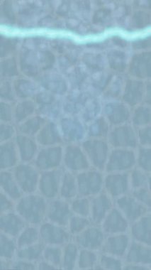 Benzersiz dijital hareket grafiklerine sahip yaratıcı sinematik projeler için yumuşak animasyon yüzeyi