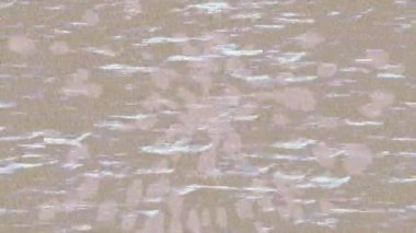 Profesyonel video projeleri sanat tarzı için organik hareketli arkaplan tasarımı