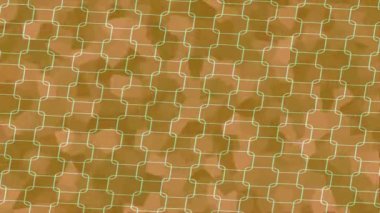 Yaratıcı video düzenleme film arkaplan tasarımı için minimalist organik hareket grafikleri