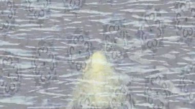 Lüks hareket tasarımı üst düzey video projeleri ve dijital sanat için zarif, pürüzsüz bir dokusu var.