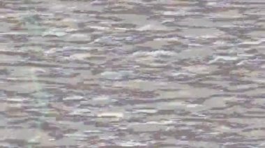 Lüks hareket tasarımı üst düzey video projeleri ve dijital sanat için zarif, pürüzsüz bir dokusu var.