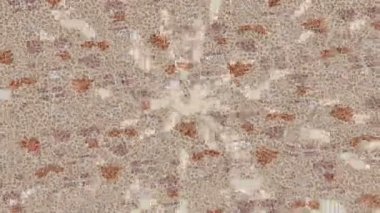 Profesyonel video projeleri sanat tarzı için organik hareketli arkaplan tasarımı