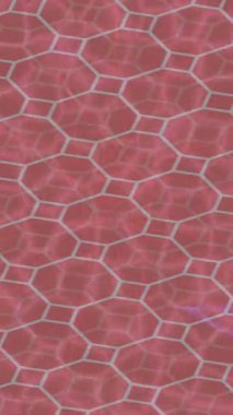 Estetik doku arkaplan tasarımı renkli hareket grafikleri ile moda film giriş profosyoneli