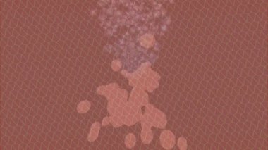 Lüks hareket tasarımı üst düzey video projeleri ve dijital sanat için zarif, pürüzsüz bir dokusu var.