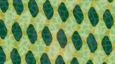 Yaratıcı video düzenleme film tasarımı için benzersiz hareket grafikleri biçimi giriş hareketi video pro