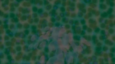 Organik desenli yüzey giriş stili video film sanatı ile soyut arkaplan tasarımı