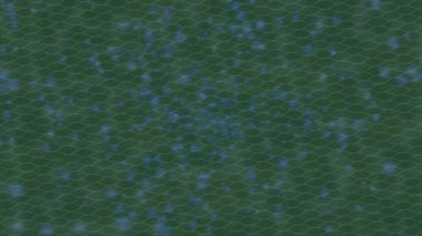 Lüks hareket tasarımı üst düzey video projeleri ve dijital sanat için zarif, pürüzsüz bir dokusu var.