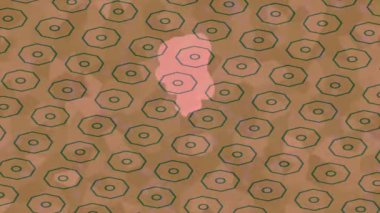 Benzersiz dijital hareket grafiklerine sahip yaratıcı sinematik projeler için yumuşak animasyon yüzeyi