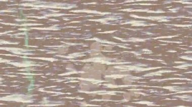 Benzersiz dijital animasyon tarzı grafikleri olan yaratıcı ortam tasarımı için yenilikçi hareket dokusu