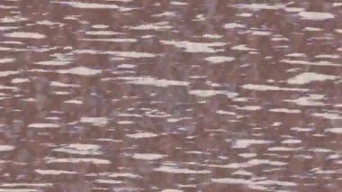 Benzersiz dijital hareket grafiklerine sahip yaratıcı sinematik projeler için yumuşak animasyon yüzeyi