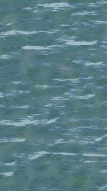 Dijital doku yüzey tasarım biçimi ile modern video animasyonu için gelişmiş hareket grafikleri