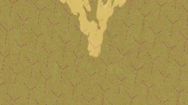 Lüks hareket projeleri için soyut tasarım stili animasyonu olan üst düzey dijital doku