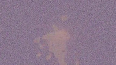 Benzersiz dijital hareket grafiklerine sahip yaratıcı sinematik projeler için yumuşak animasyon yüzeyi