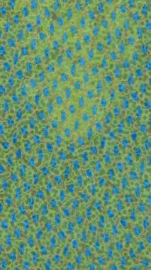 Yaratıcı video düzenleme film arkaplan tasarımı için minimalist organik hareket grafikleri