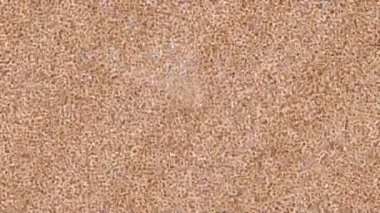 Profesyonel video projeleri sanat tarzı için organik hareketli arkaplan tasarımı