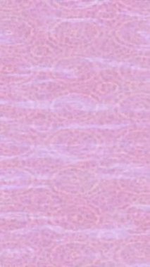 Dijital doku yüzey tasarım biçimi ile modern video animasyonu için gelişmiş hareket grafikleri