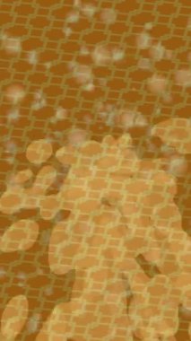 Benzersiz dijital hareket grafiklerine sahip yaratıcı sinematik projeler için yumuşak animasyon yüzeyi