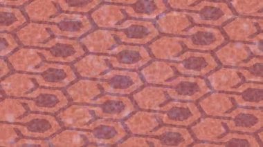 Yaratıcı video düzenleme film arkaplan tasarımı için minimalist organik hareket grafikleri