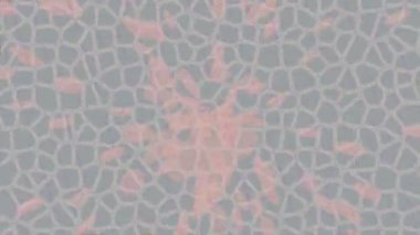 Lüks hareket projeleri için soyut tasarım stili animasyonu olan üst düzey dijital doku