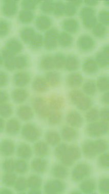 Yaratıcı video düzenleme film tasarımı için benzersiz hareket grafikleri biçimi giriş hareketi video pro