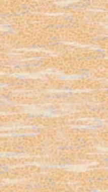 Estetik doku arkaplan tasarımı renkli hareket grafikleri ile moda film giriş profosyoneli