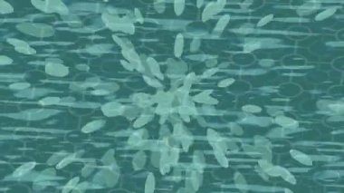 Yaratıcı video düzenleme film tasarımı için benzersiz hareket grafikleri biçimi giriş hareketi video pro