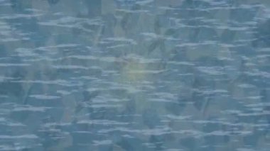 Soyut hareket desenli fütüristik video üretimi için dinamik dijital arkaplan