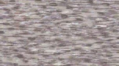 Benzersiz dijital hareket grafiklerine sahip yaratıcı sinematik projeler için yumuşak animasyon yüzeyi