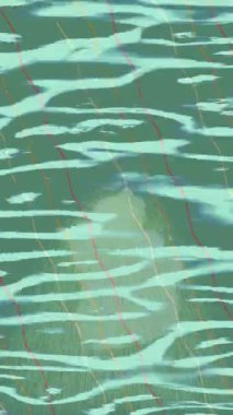 Yaratıcı video düzenleme film tasarımı için benzersiz hareket grafikleri biçimi giriş hareketi video pro