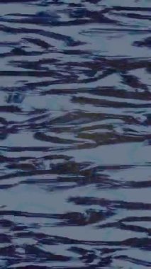 Yaratıcı video düzenleme film arkaplan tasarımı için minimalist organik hareket grafikleri