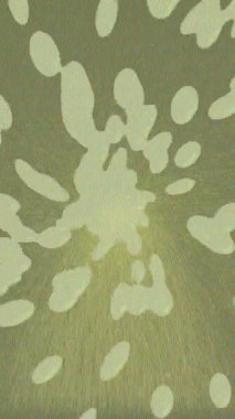 Dijital doku yüzey tasarım biçimi ile modern video animasyonu için gelişmiş hareket grafikleri