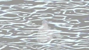 Estetik doku arkaplan tasarımı renkli hareket grafikleri ile moda film giriş profosyoneli