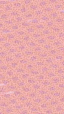 Soyut hareket desenli fütüristik video üretimi için dinamik dijital arkaplan