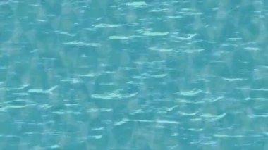 Benzersiz dijital hareket grafiklerine sahip yaratıcı sinematik projeler için yumuşak animasyon yüzeyi