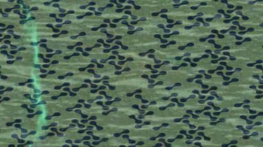 Yaratıcı video düzenleme film arkaplan tasarımı için minimalist organik hareket grafikleri