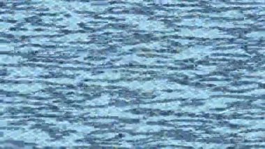 Estetik doku arkaplan tasarımı renkli hareket grafikleri ile moda film giriş profosyoneli