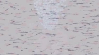 Dijital doku yüzey tasarım biçimi ile modern video animasyonu için gelişmiş hareket grafikleri