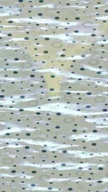 Yaratıcı video düzenleme film arkaplan tasarımı için minimalist organik hareket grafikleri