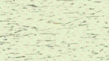 Dijital doku yüzey tasarım biçimi ile modern video animasyonu için gelişmiş hareket grafikleri