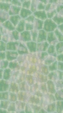 Yaratıcı video düzenleme film arkaplan tasarımı için minimalist organik hareket grafikleri